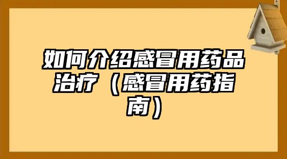 如何介紹感冒用藥品治療（感冒用藥指南）