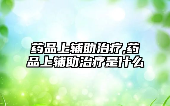 藥品上輔助治療,藥品上輔助治療是什么