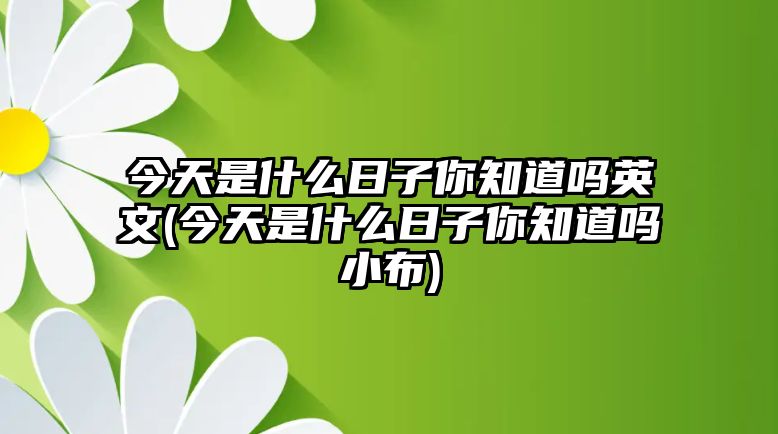 今天是什么日子你知道嗎英文(今天是什么日子你知道嗎小布)