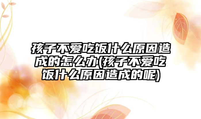 孩子不愛吃飯什么原因造成的怎么辦(孩子不愛吃飯什么原因造成的呢)