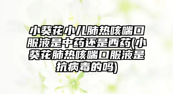 小葵花小兒肺熱咳喘口服液是中藥還是西藥(小葵花肺熱咳喘口服液是抗病毒的嗎)