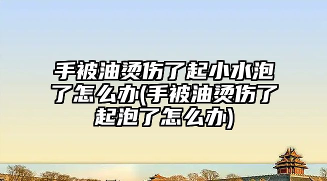 手被油燙傷了起小水泡了怎么辦(手被油燙傷了起泡了怎么辦)