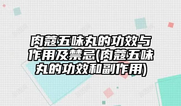 肉蔻五味丸的功效與作用及禁忌(肉蔻五味丸的功效和副作用)