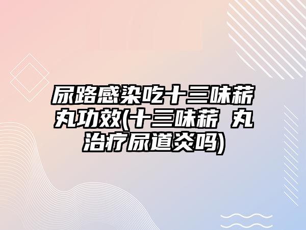 尿路感染吃十三味菥蓂丸功效(十三味菥蓂丸治療尿道炎嗎)