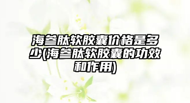 海參肽軟膠囊價(jià)格是多少(海參肽軟膠囊的功效和作用)