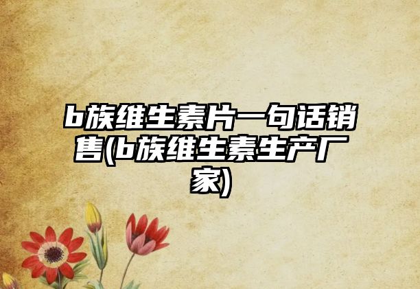 b族維生素片一句話銷售(b族維生素生產(chǎn)廠家)