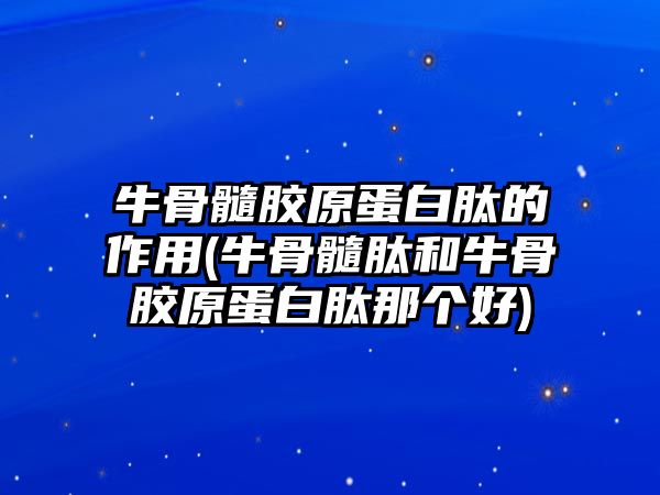 牛骨髓膠原蛋白肽的作用(牛骨髓肽和牛骨膠原蛋白肽那個好)