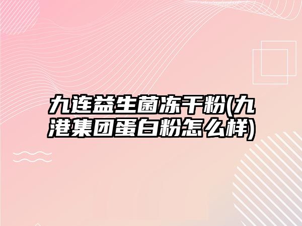 九連益生菌凍干粉(九港集團蛋白粉怎么樣)