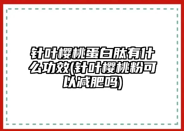 針葉櫻桃蛋白肽有什么功效(針葉櫻桃粉可以減肥嗎)