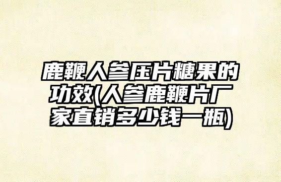 鹿鞭人參壓片糖果的功效(人參鹿鞭片廠家直銷多少錢一瓶)