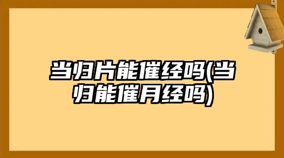 當(dāng)歸片能催經(jīng)嗎(當(dāng)歸能催月經(jīng)嗎)