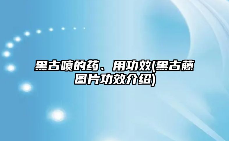 黑古噴的藥、用功效(黑古藤圖片功效介紹)