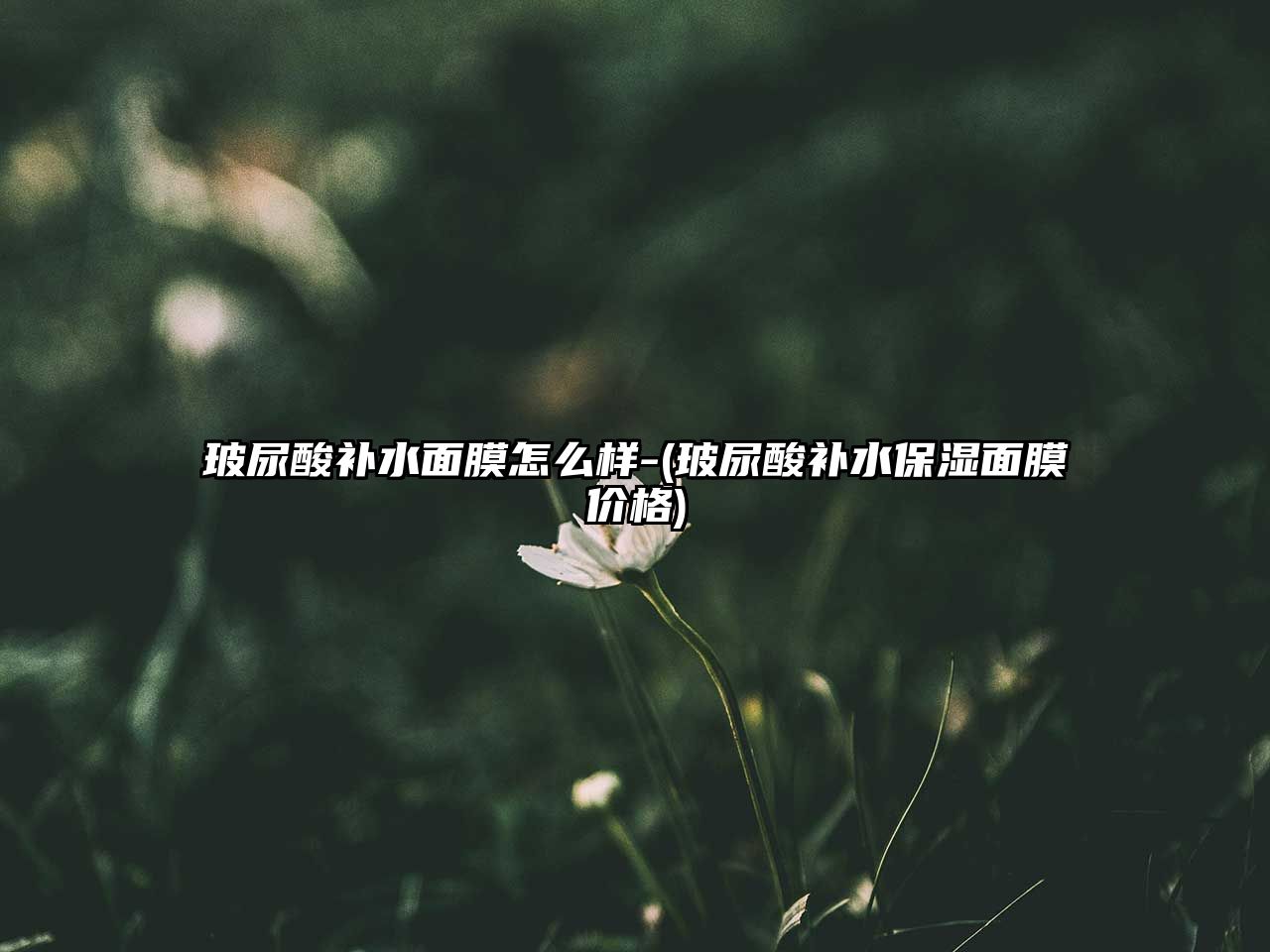 玻尿酸補(bǔ)水面膜怎么樣-(玻尿酸補(bǔ)水保濕面膜價(jià)格)